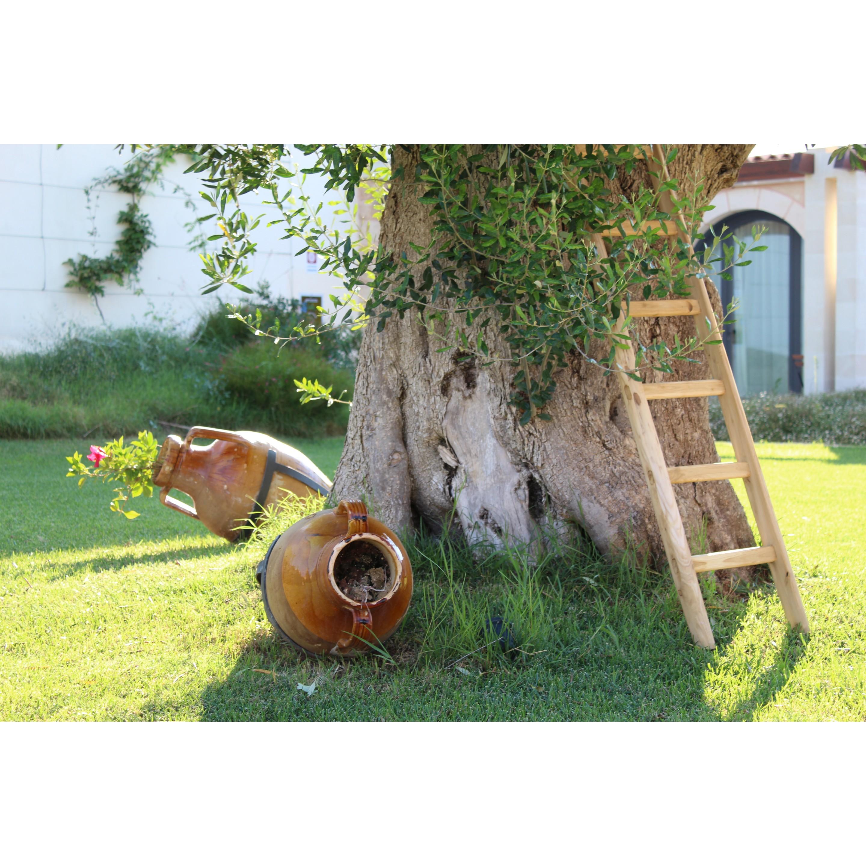 Masseria Stali, The Originals Relais Caprarica di Lecce 外观 照片